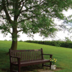 Bench in the Garden of Remembrance